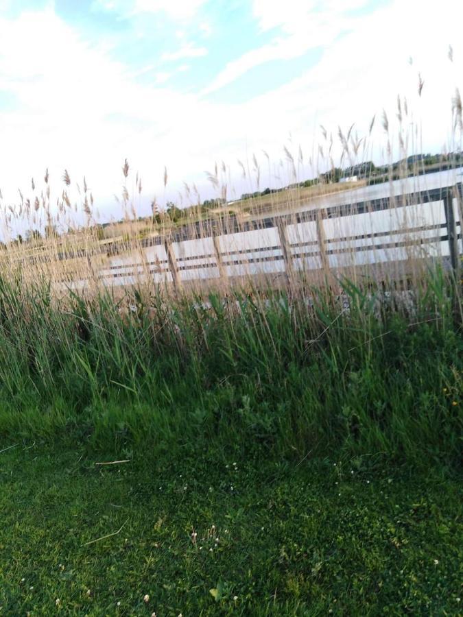 Luxueuze Stacaravan 4Pers Met Terras En Tuintje Bredene Exteriör bild